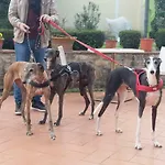 ベッド・アンド・ブレックファスト Casale Dei Cento Acri