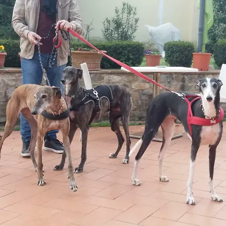 Panzió Casale Dei Cento Acri