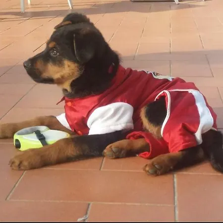 Casale Dei Cento Acri Firenze