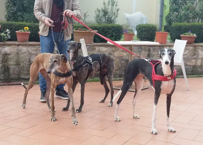 Bed and breakfast Casale Dei Cento Acri